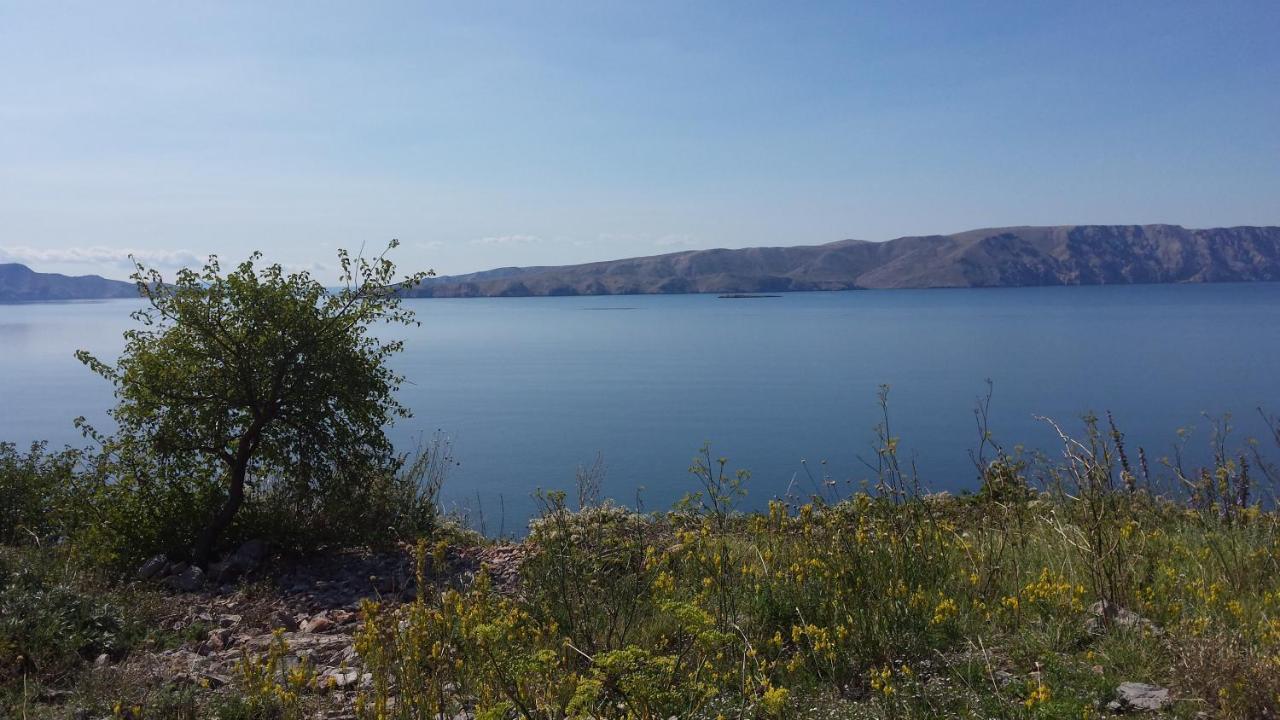 Appartamento Dalibor Senj  Esterno foto
