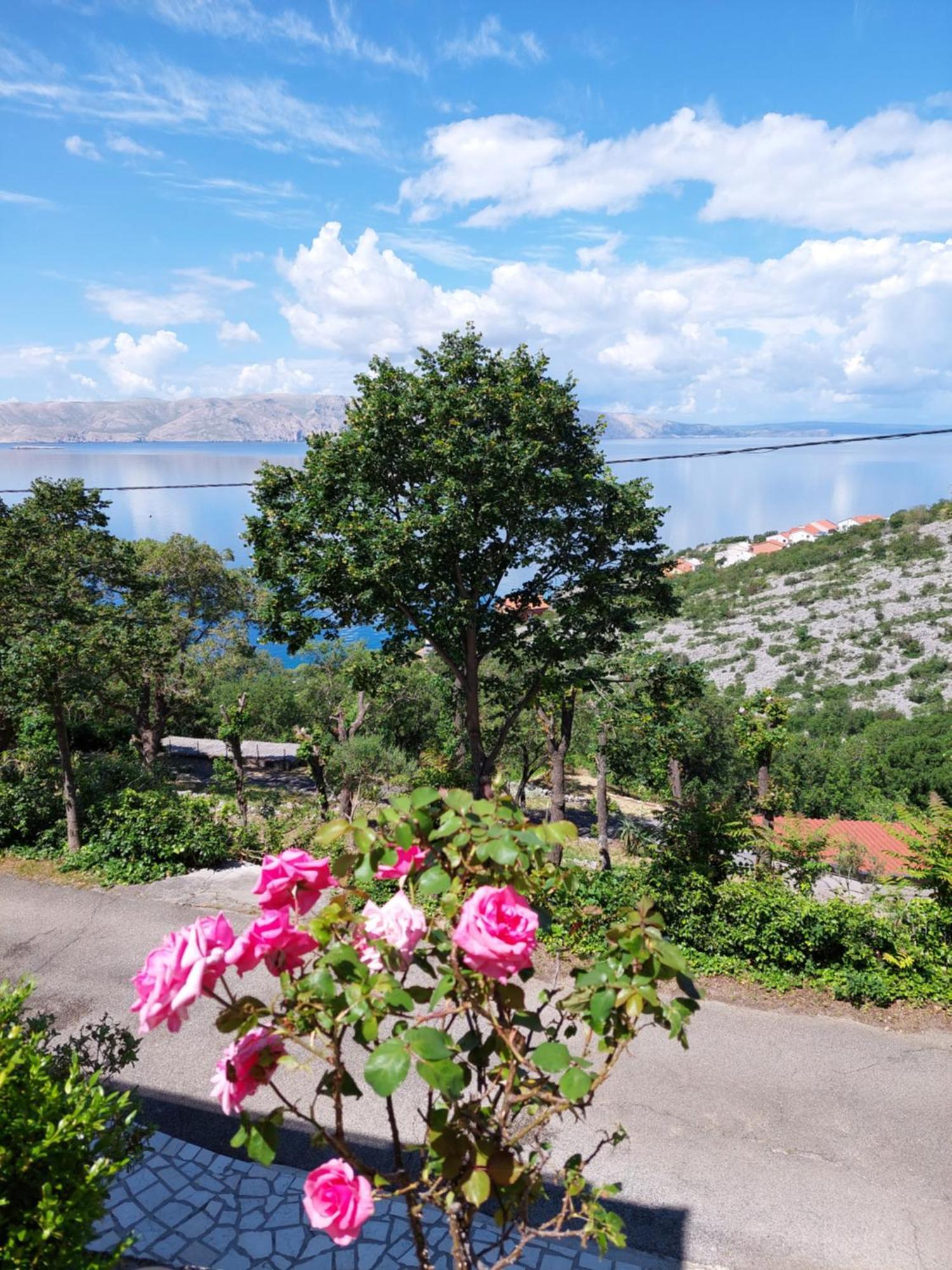Appartamento Dalibor Senj  Esterno foto
