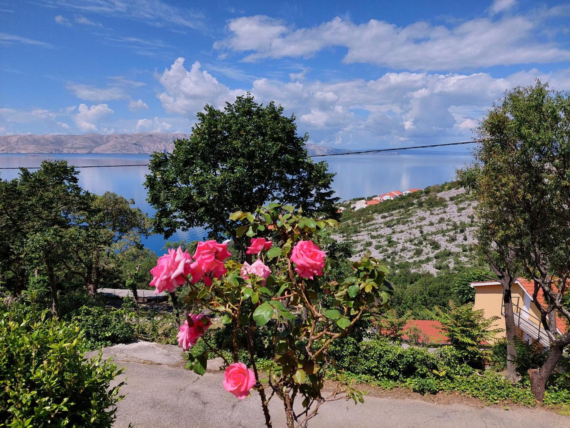 Appartamento Dalibor Senj  Esterno foto